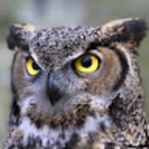 Meet your Posher, Brooklyn